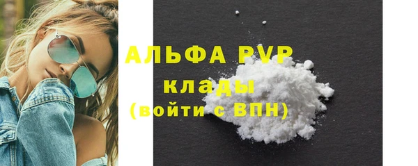 шишки Абаза