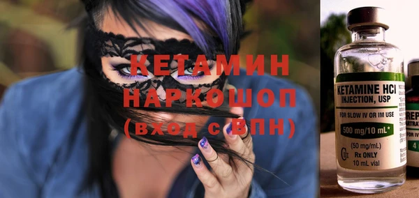шишки Абаза