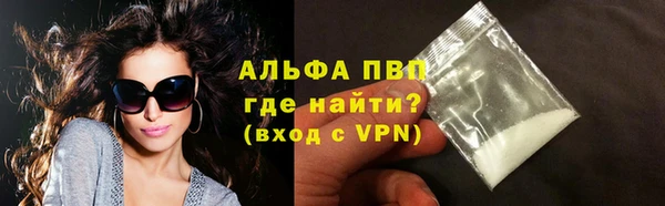крисы Алзамай