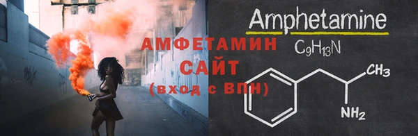 шишки Абаза