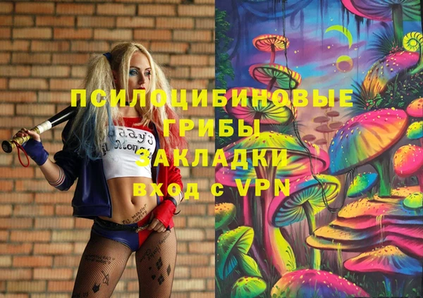шишки Абаза