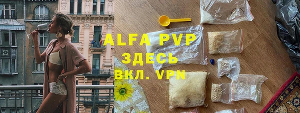 шишки Абаза