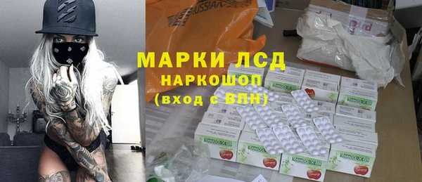 шишки Абаза