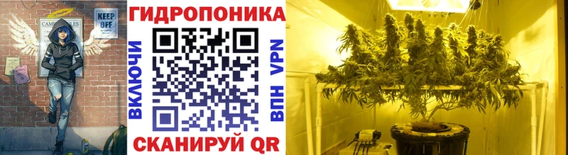 Канабис план Дербент